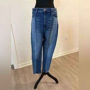 American Eagle Outfitters 2-Tone Jeans